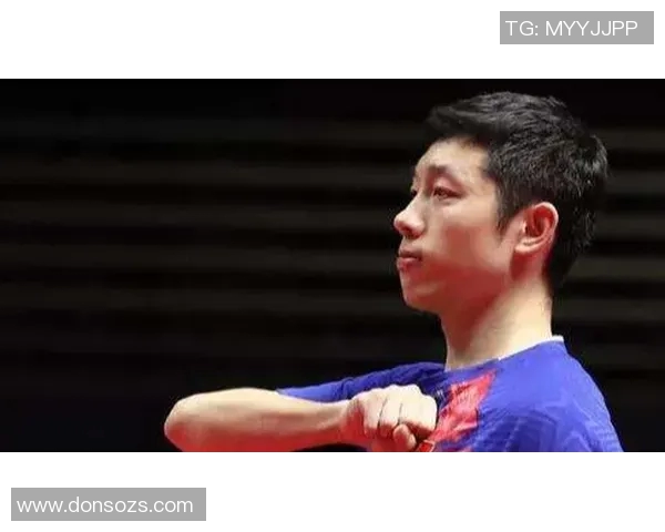 乒乓球耐力实力榜单权威发布揭示顶尖选手竞技状态与训练成果