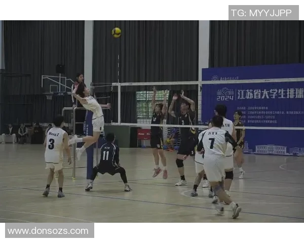 排球巨献：深入解析成都排球队如何实现高效团队协作与默契配合