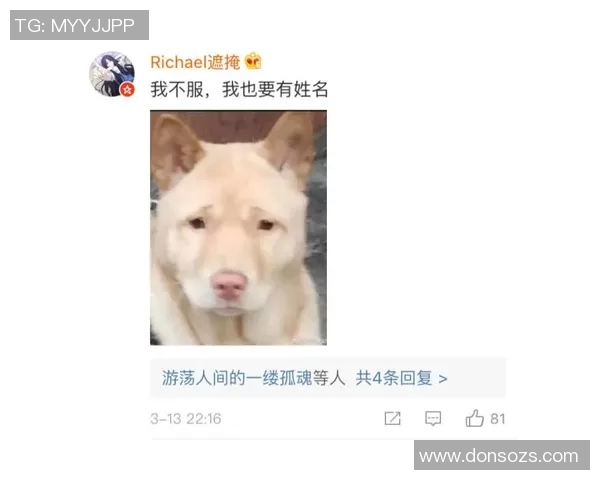 狗狗意外撞脸足球明星引发网友热议趣味瞬间成网络新宠